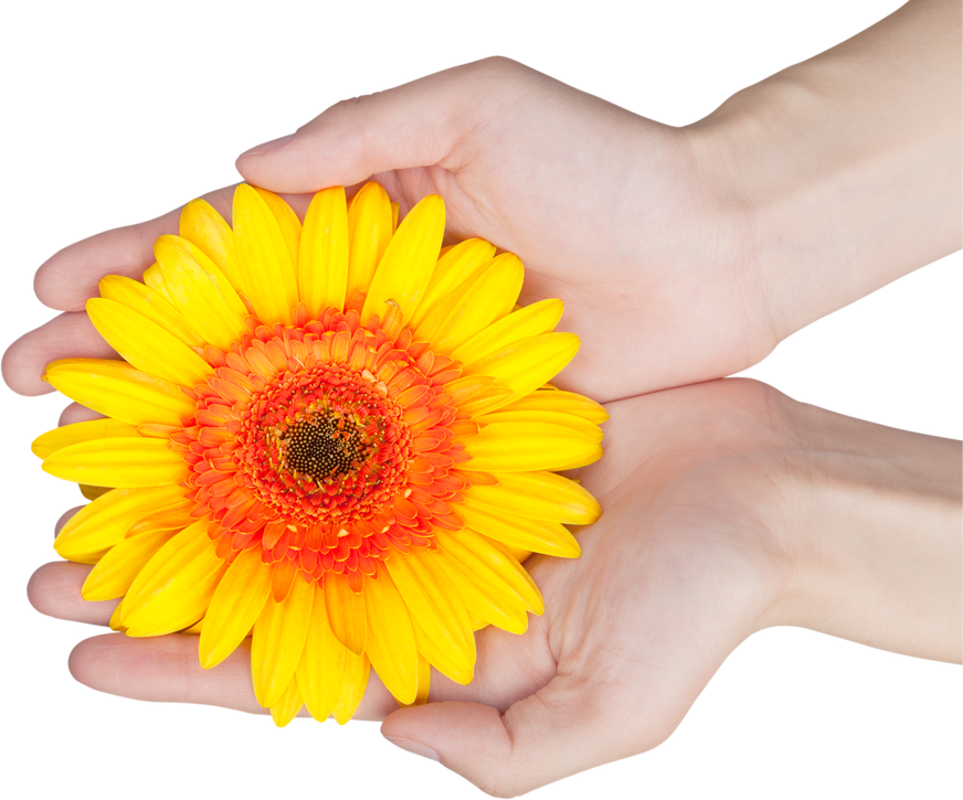 hand holding a flower