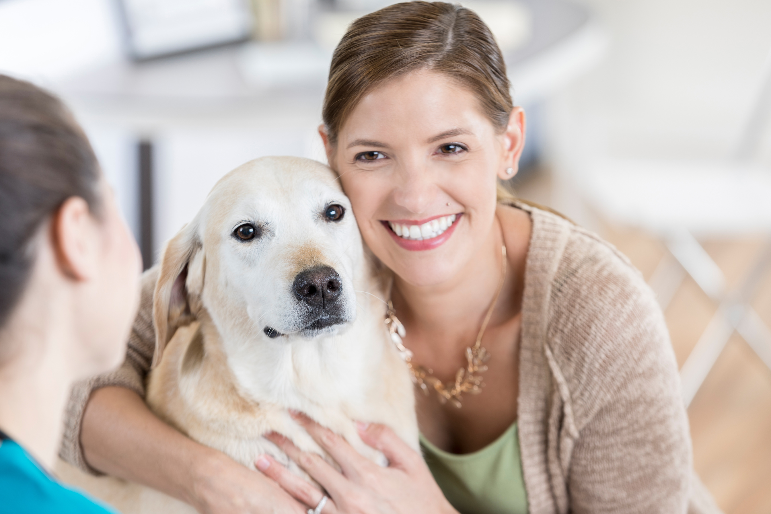 Happy dog owner talks with veterinarian about dog's health